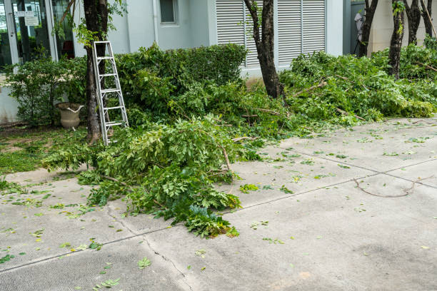 Best Affordable Tree Service  in White Castle, LA